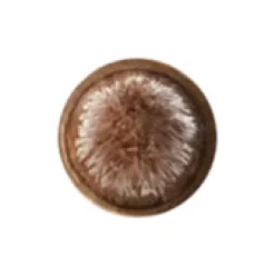 MAC 209 Eye Liner Brush -Mac 11471998 9494488993064344