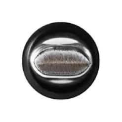 MAC 318 Retractable Lip Brush 7 MAC 318 Retractable Lip Brush -Mac 11472021 1654488993978573