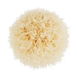 MAC 221S Mini Tapered Blending Brush -Mac 11641131 1564550179221954